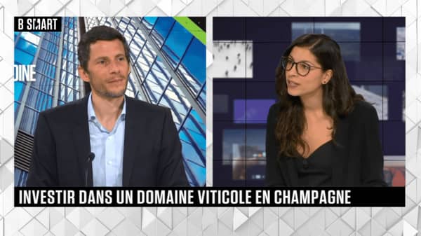 Smart Patrimoine - Investir dans un Domaine Viticole