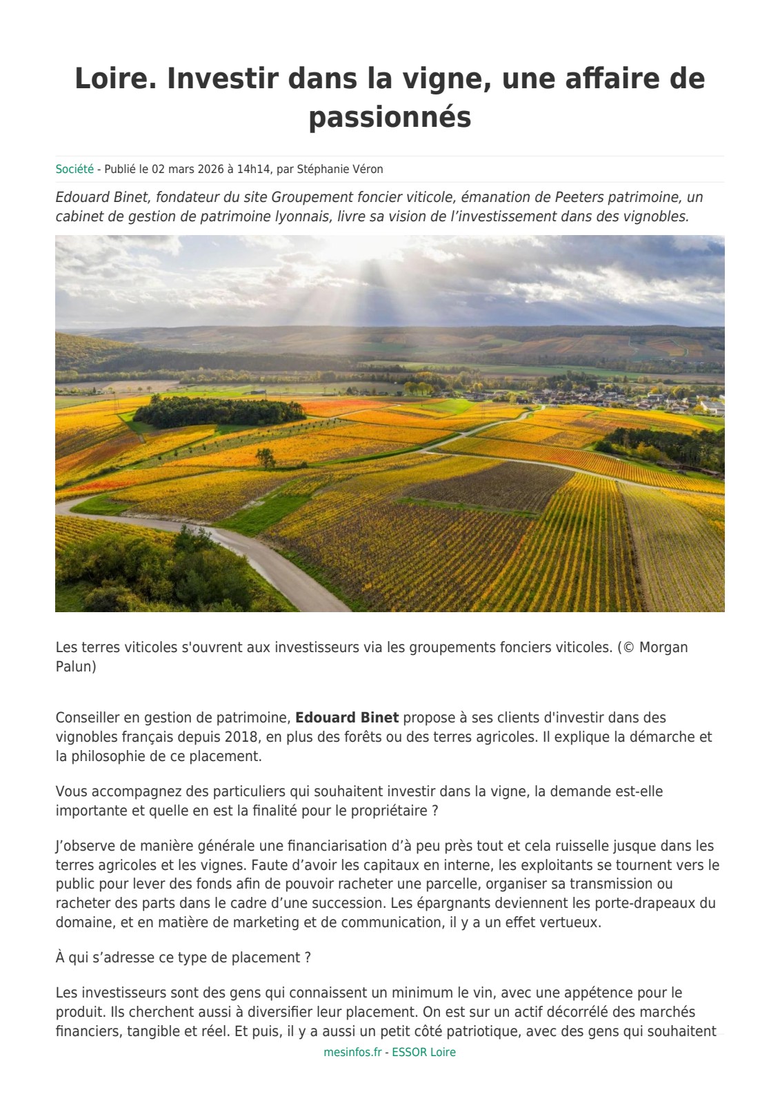 Investir dans la vigne, une affaire de passionnés